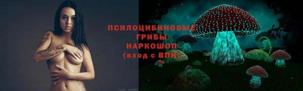 ECSTASY Алзамай