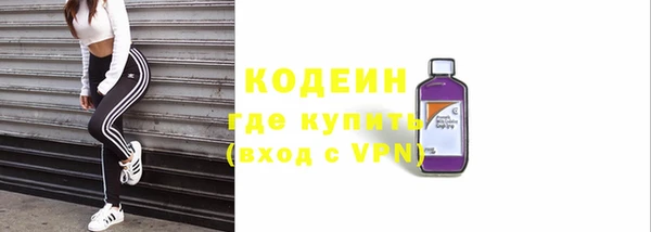 ECSTASY Алзамай