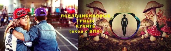 ECSTASY Алзамай