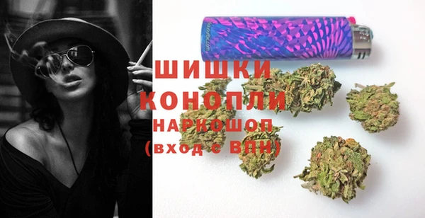 ECSTASY Алзамай